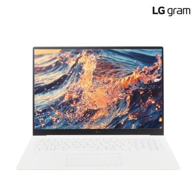 LG전자 2025 그램 프로 17 인텔 15세대 울트라5 윈도우11 16GB 256GB, 17ZD90TP-GX56K, WIN11 Home, 16GB, 256GB, 화이트