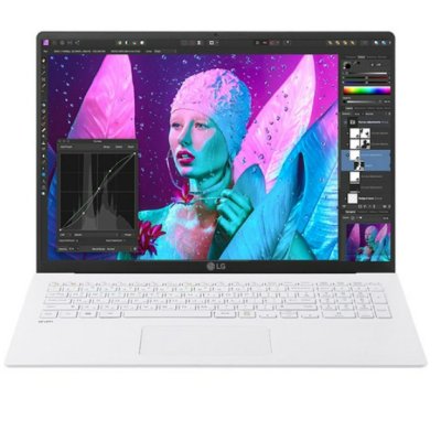 LG전자 2020 그램17 노트북 17Z90N-VA76K (i7-1065G7 43.1cm)