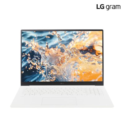 LG전자 2025 그램 프로 17 인텔 15세대 울트라5 32GB 256GB