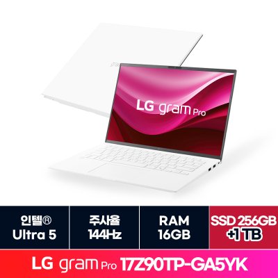 17Z90TP-GA5YK + 1TB 추가 ON